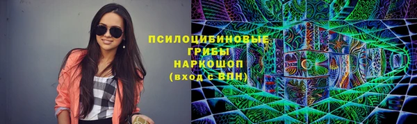 марки lsd Белокуриха