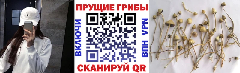 блэк спрут рабочий сайт  Курильск  Псилоцибиновые грибы ЛСД 